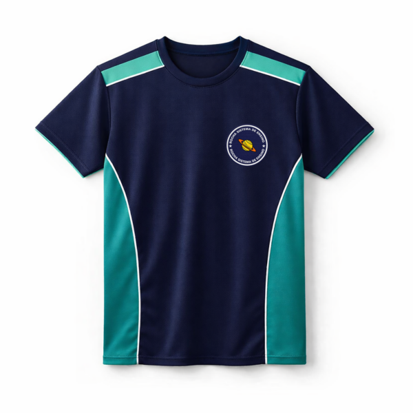 Camiseta Uso Diário Rocha Sistema